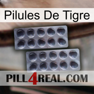 Tiger Pills 31